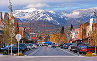Whitefish