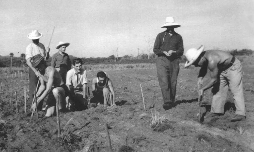 Male farmers in hats work barren land in Dominican Republic.