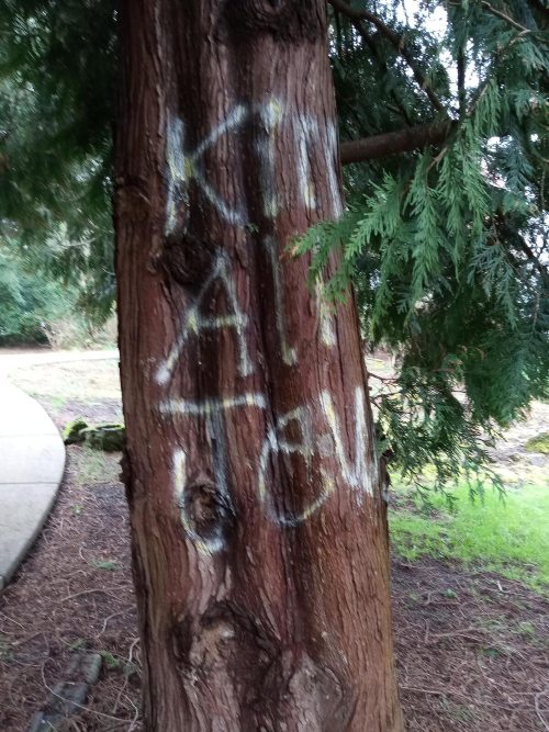 "Kill all Jews" spraypainted on a tree. From the ADL's audit.