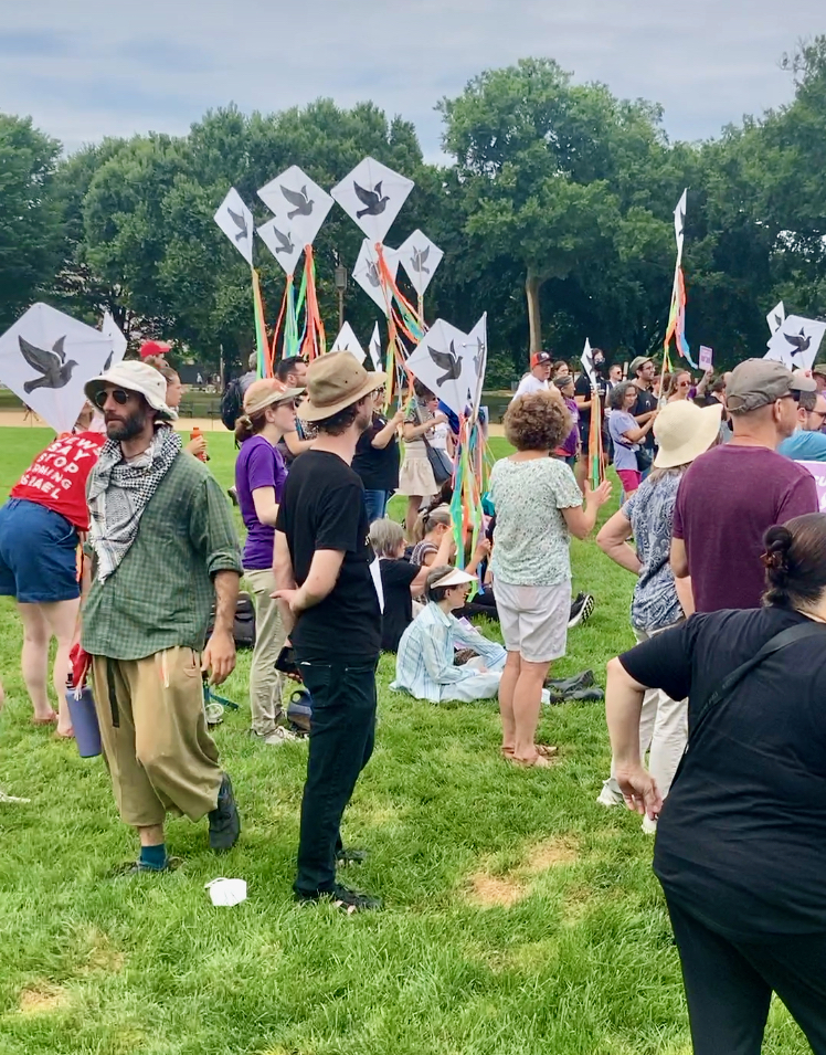 kites flying at the Peace & Justice Bloc rally