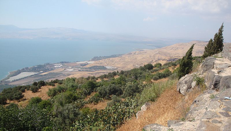Golan Druze