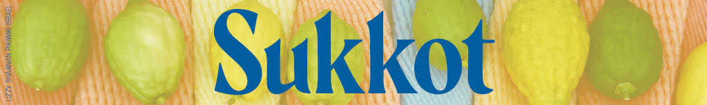sukkot banner