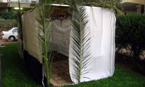 what is a sukkah