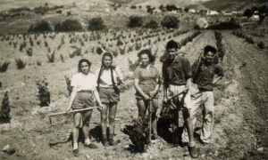 The author's mother Miriam, far left, with her fellow youth movement members in Israel circa 1940.