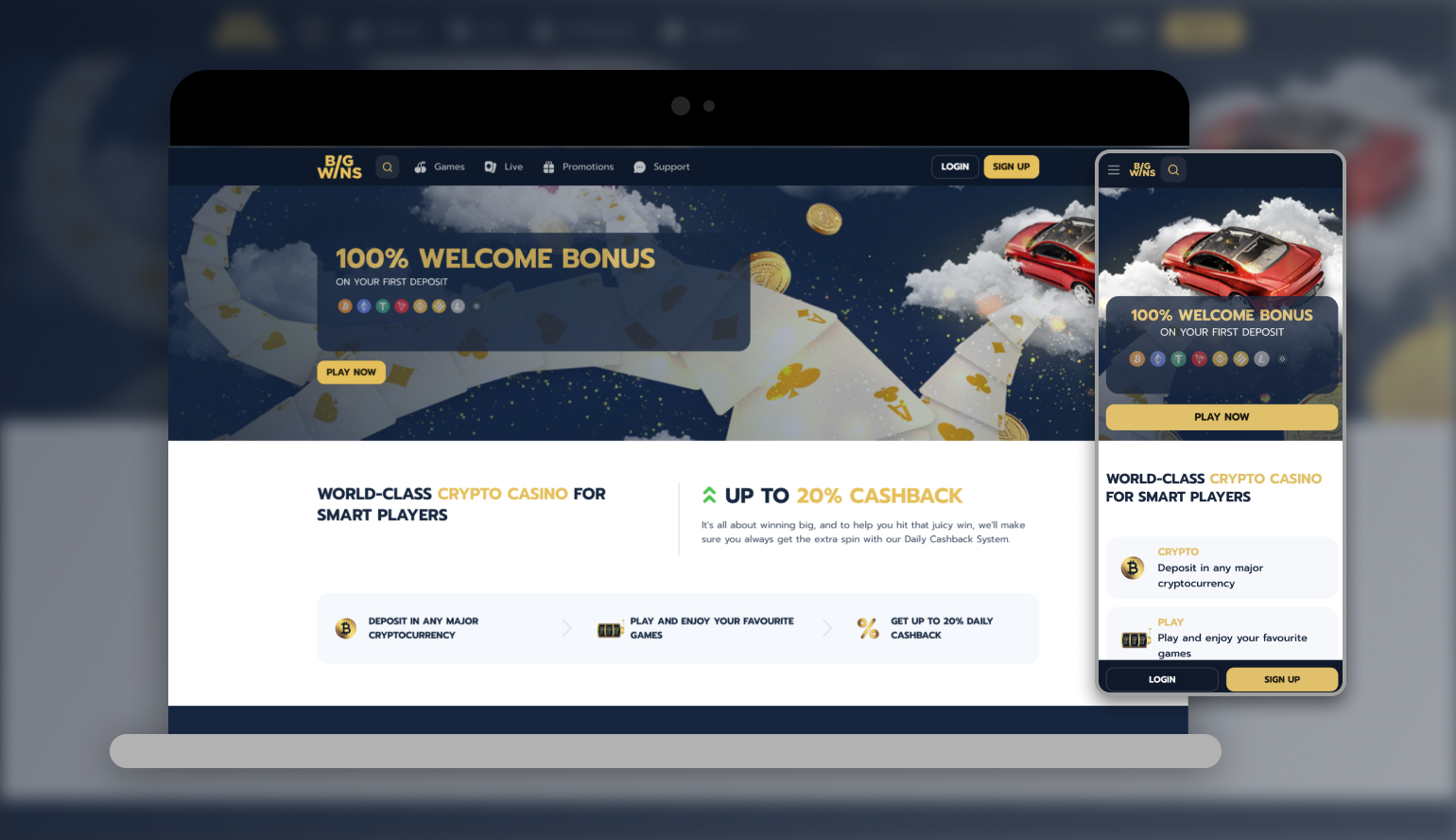 Big Wins Terms & Conditions